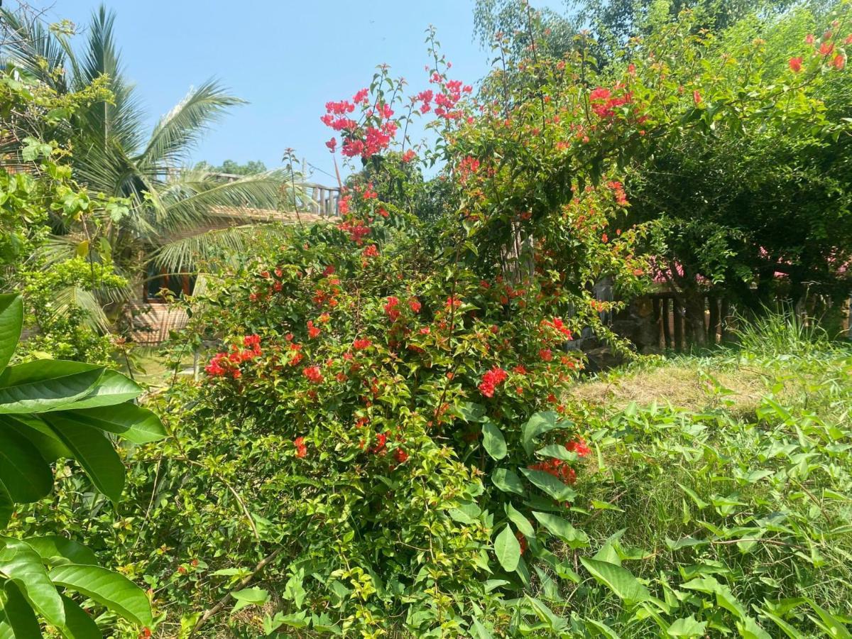 Ngoc Tien Farmer Eco Lodge Каттьєн Екстер'єр фото